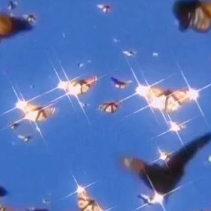 Meet your Posher, Marnae